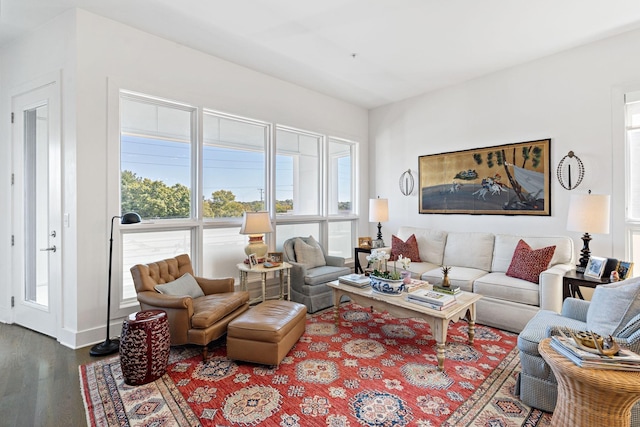 living room featuring dark wood-type flooring