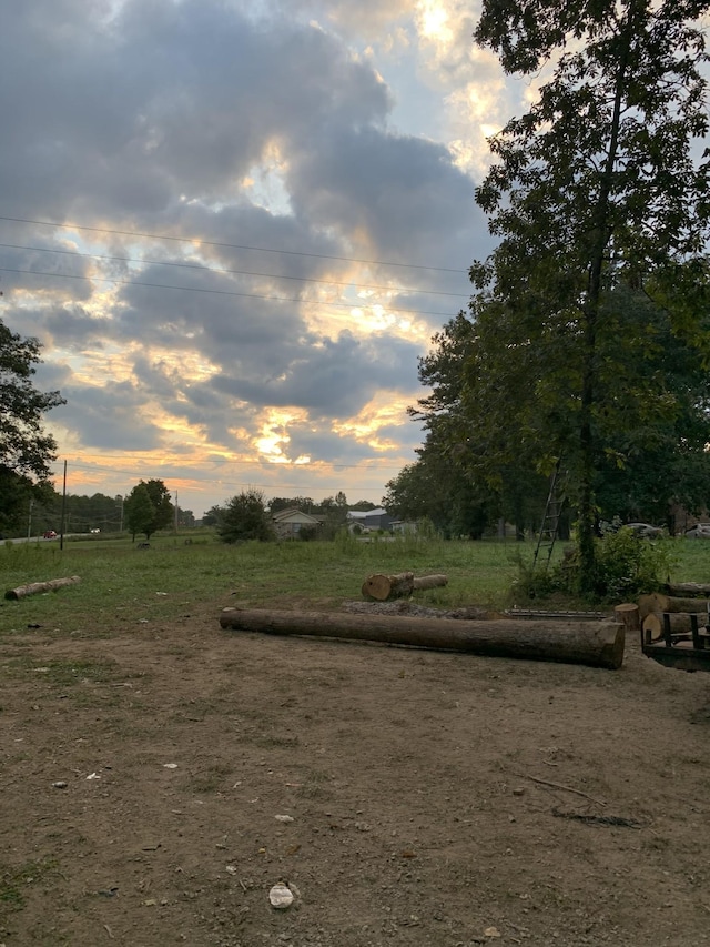 view of yard with a rural view