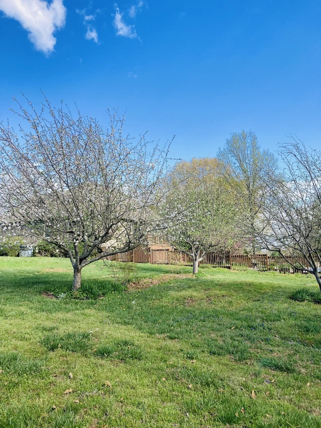 215 Faith Rae Blvd, Morrison, TN 37357 - photo 24