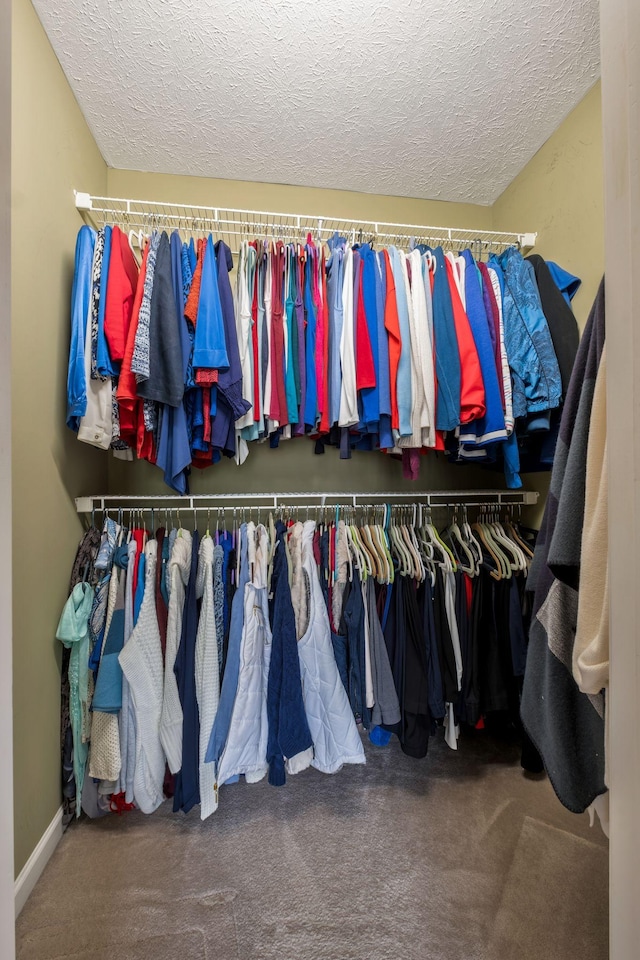 walk in closet featuring carpet flooring