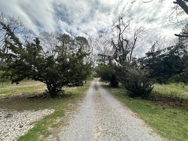 3580 Bell Rd, Nashville, TN 37214 - photo 2