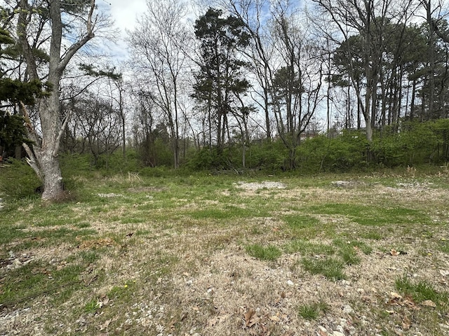3580 Bell Rd, Nashville, TN 37214 - photo 3