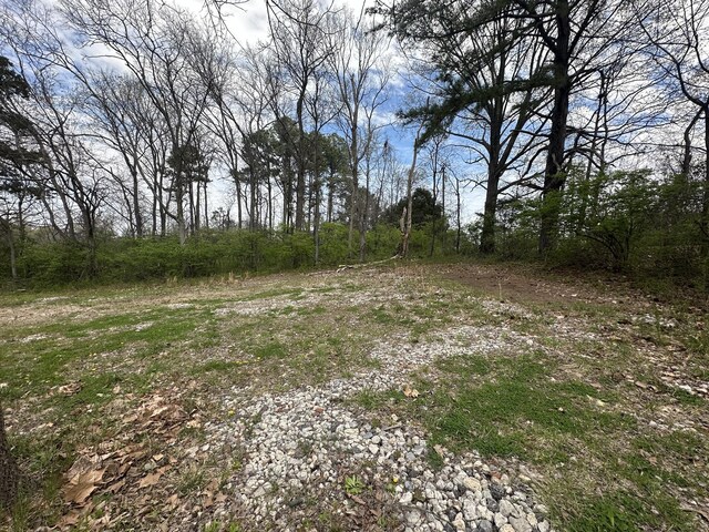 3580 Bell Rd, Nashville, TN 37214 - photo 4