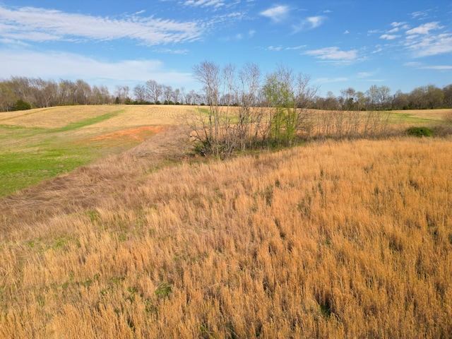7 Minnis, Springfield, TN 37172