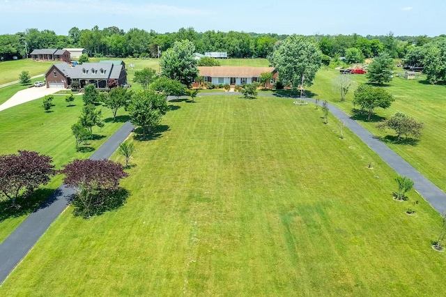 drone / aerial view