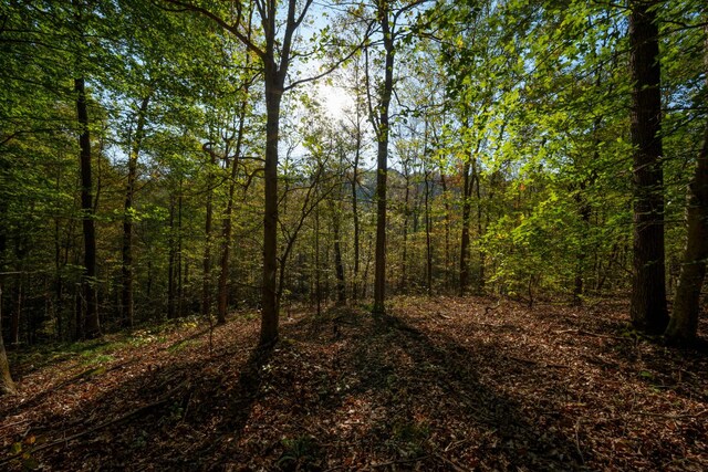 123 Frey St, Ashland City, TN 37015