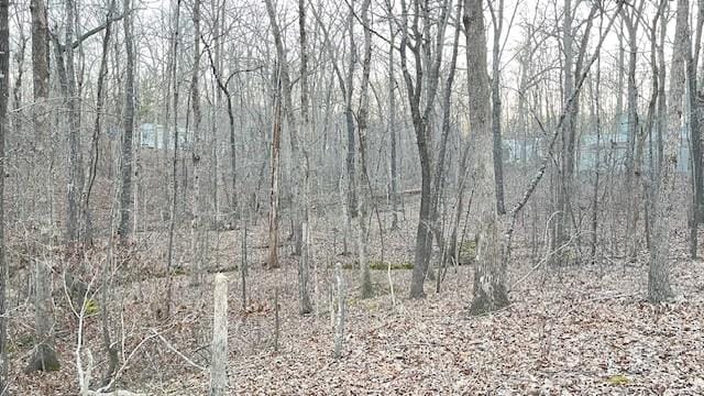 0 E Oak Dr, Buchanan, TN 38222 - photo 8