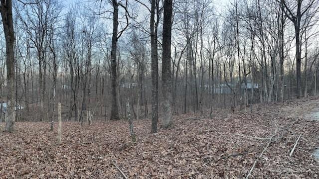 0 E Oak Dr, Buchanan, TN 38222 - photo 1