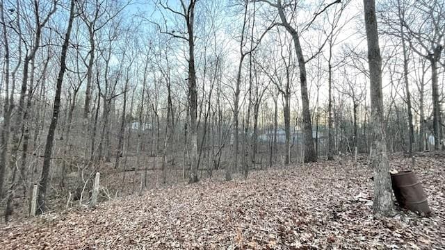 0 E Oak Dr, Buchanan, TN 38222 - photo 11