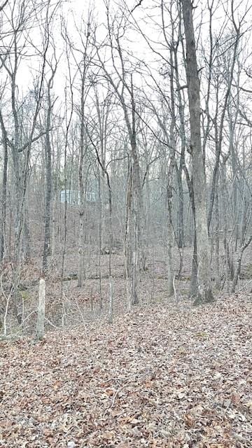 0 E Oak Dr, Buchanan, TN 38222 - photo 5