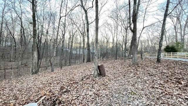 0 E Oak Dr, Buchanan, TN 38222 - photo 14