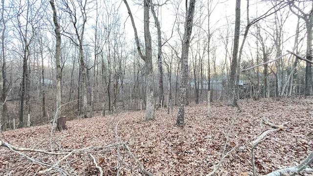 0 E Oak Dr, Buchanan, TN 38222 - photo 10
