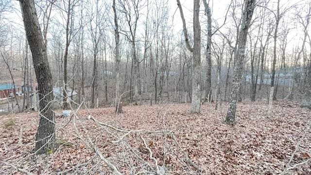 0 E Oak Dr, Buchanan, TN 38222 - photo 9