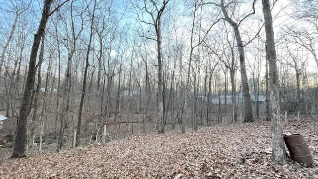 0 E Oak Dr, Buchanan, TN 38222 - photo 12