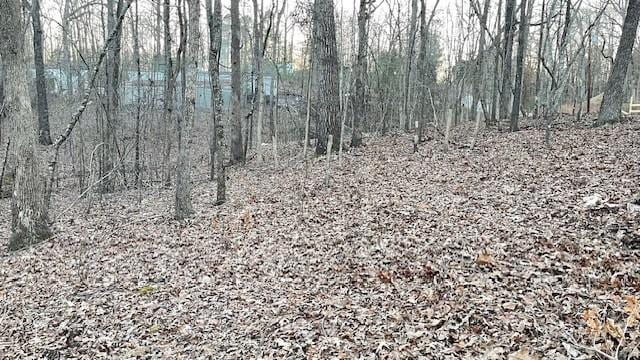 0 E Oak Dr, Buchanan, TN 38222 - photo 6