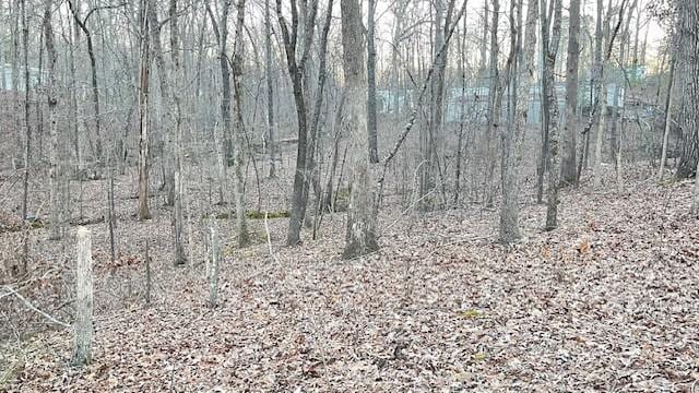 0 E Oak Dr, Buchanan, TN 38222 - photo 7