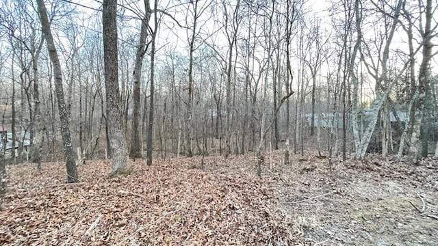 0 E Oak Dr, Buchanan, TN 38222 - photo 4