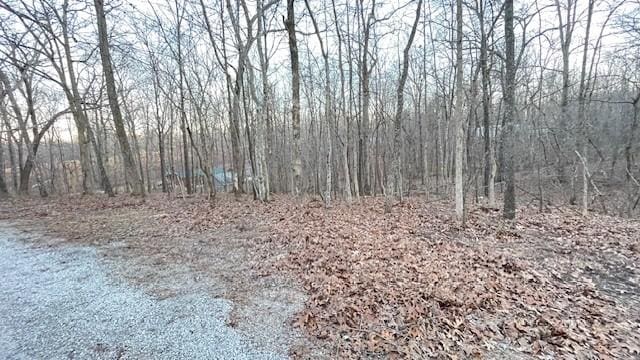 0 E Oak Dr, Buchanan, TN 38222 - photo 15