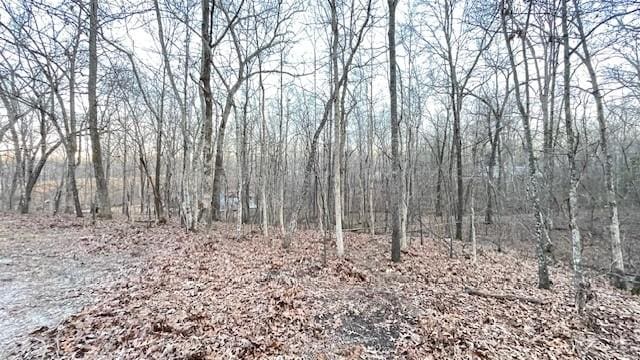0 E Oak Dr, Buchanan, TN 38222 - photo 13