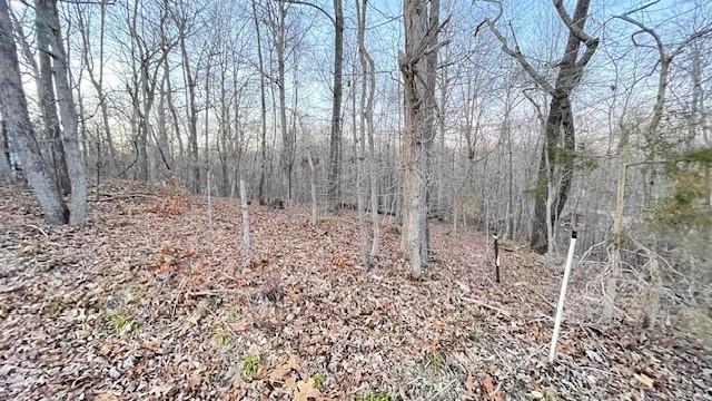 0 E Dogwood Rd, Buchanan, TN 38222 - photo 8