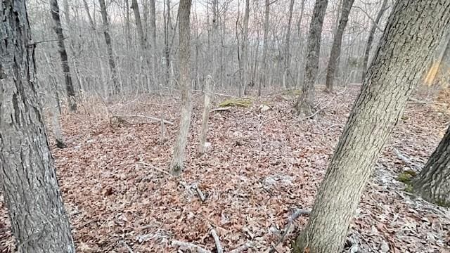 0 E Dogwood Rd, Buchanan, TN 38222 - photo 2