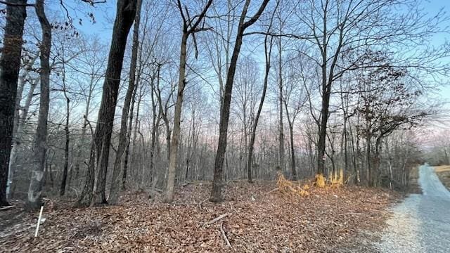 0 E Dogwood Rd, Buchanan, TN 38222 - photo 3