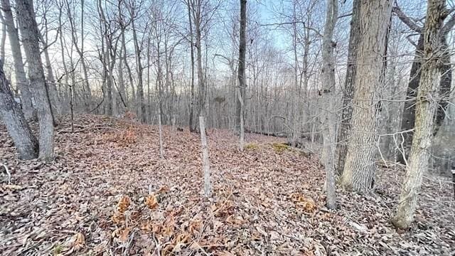 0 E Dogwood Rd, Buchanan, TN 38222 - photo 9