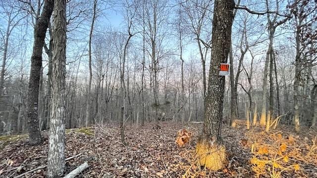 0 E Dogwood Rd, Buchanan, TN 38222 - photo 4