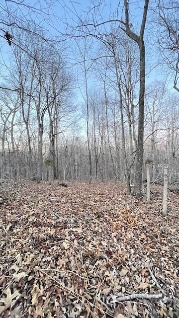 0 E Dogwood Rd, Buchanan, TN 38222 - photo 7