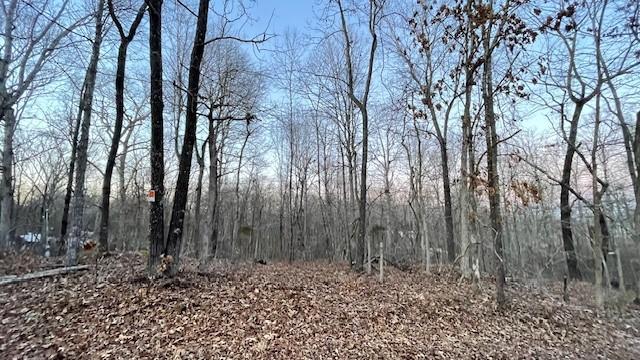 0 E Dogwood Rd, Buchanan, TN 38222 - photo 6