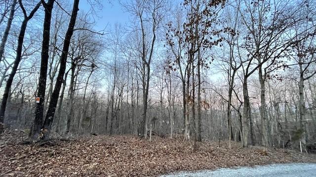 0 E Dogwood Rd, Buchanan, TN 38222 - photo 5