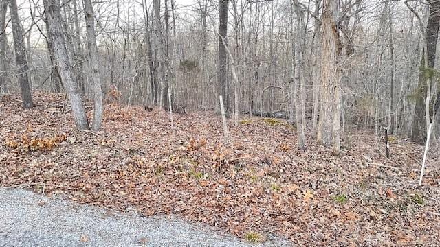 0 E Dogwood Rd, Buchanan, TN 38222 - photo 10
