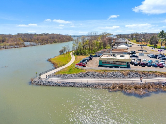 130 Coarsey Blvd, Hendersonville, TN 37075 - photo 31
