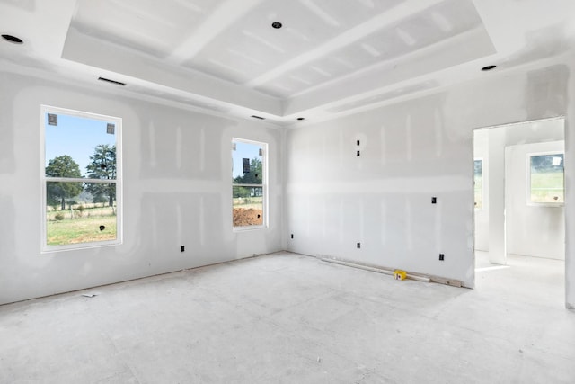 350 Butterfly Cove Trl, Decatur, TN 37322 - unfurnished room featuring a tray ceiling and a healthy amount of sunlight