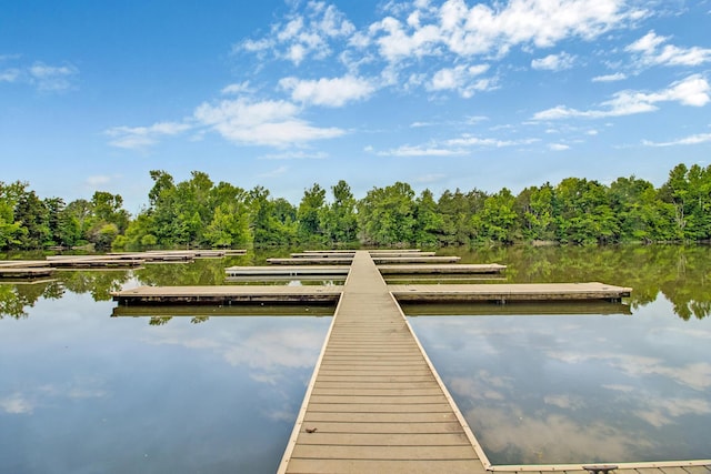350 Butterfly Cove Trl, Decatur, TN 37322 - dock area featuring a forest view and a water view