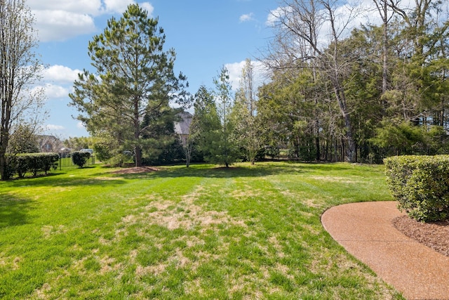 1194 Meadow Bridge Ln, Arrington, TN 37014 - view of yard