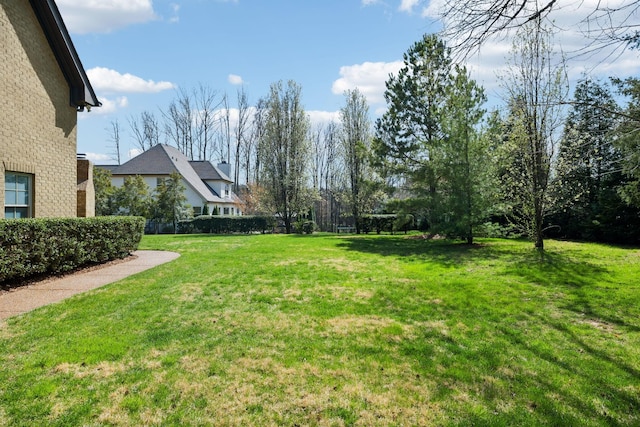 1194 Meadow Bridge Ln, Arrington, TN 37014 - view of yard