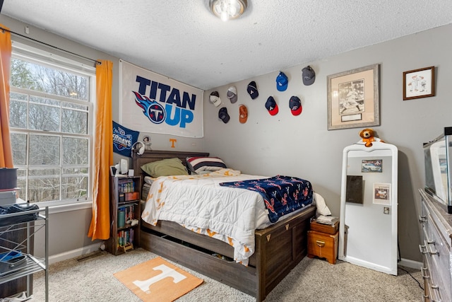 740 Acorn Dr, Clarksville, TN 37043 - bedroom with carpet floors, baseboards, multiple windows, and a textured ceiling