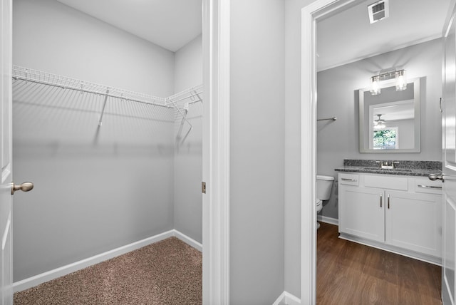 837 Cumberland Dr, Clarksville, TN 37040 - walk in closet featuring visible vents and a sink