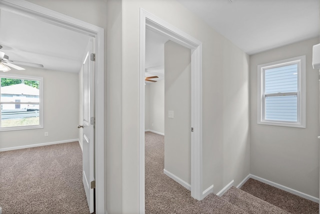 839 Cumberland Dr, Clarksville, TN 37040 - hallway featuring baseboards and carpet flooring