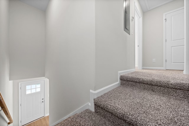 839 Cumberland Dr, Clarksville, TN 37040 - interior space featuring baseboards, carpet flooring, and electric panel