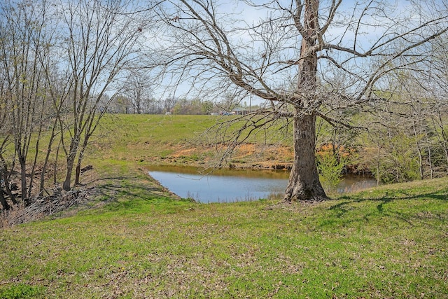 1260 Coconut Ridge Rd, Smithville, TN 37166 - photo 36