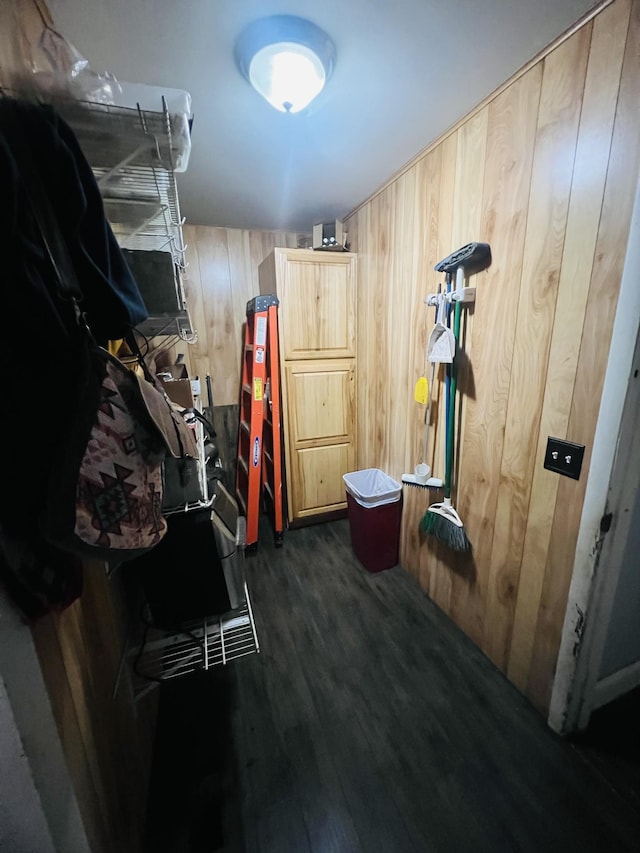 walk in closet featuring dark wood-type flooring