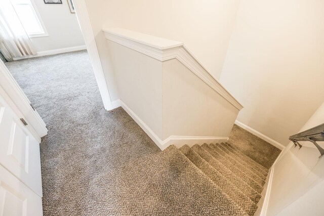 stairway with baseboards and carpet