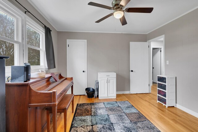 office with light wood finished floors, ceiling fan, and ornamental molding