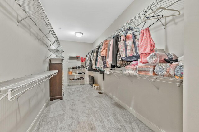 1531 Pumpkin Ridge Ct, Nolensville, TN 37135 - walk in closet with carpet floors