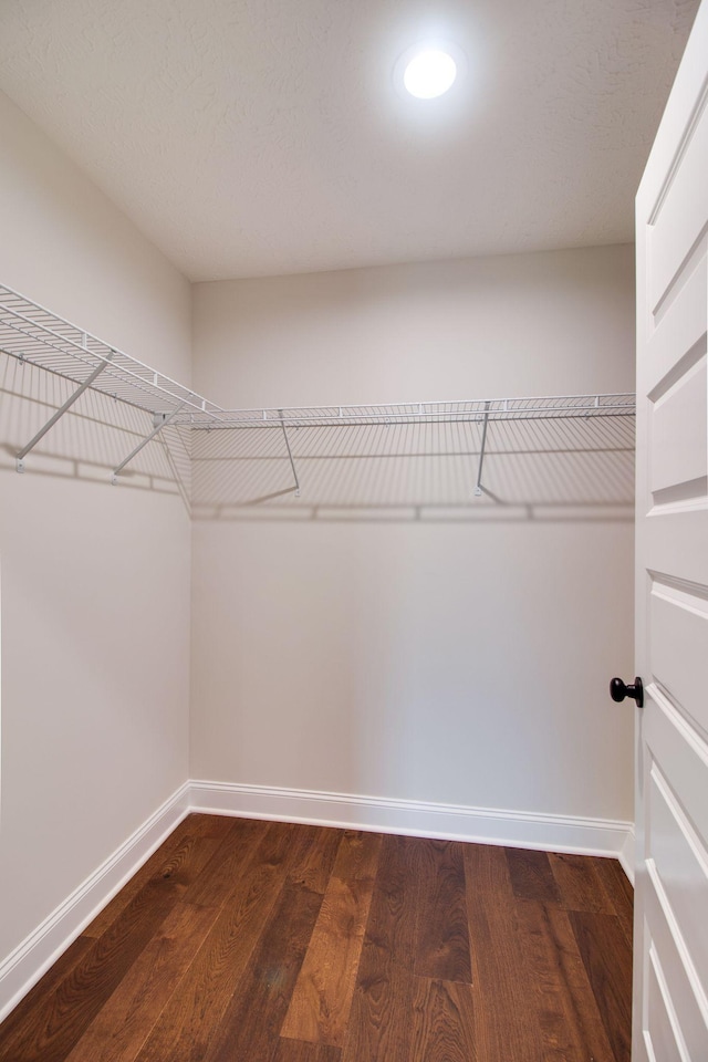 spacious closet with dark wood-style flooring