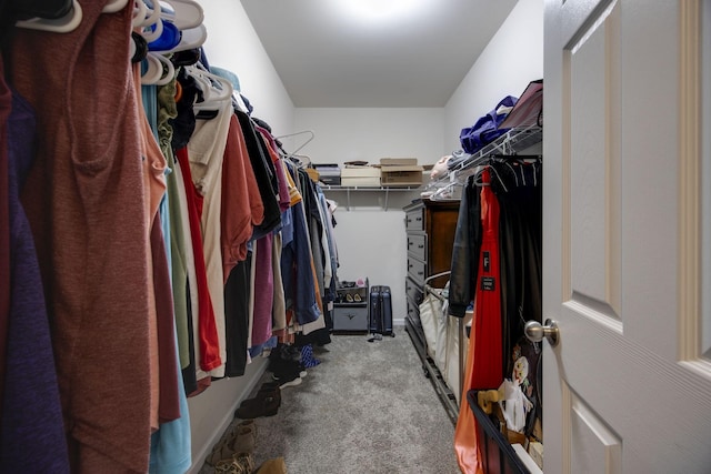walk in closet with carpet