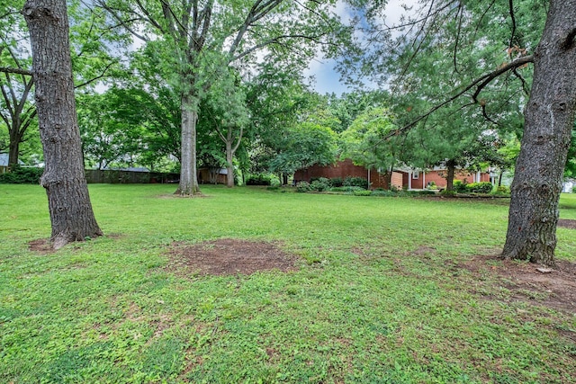4337 Morriswood Dr, Nashville, TN 37204 - view of green lawn