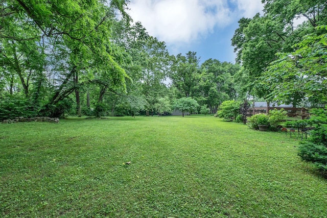 4337 Morriswood Dr, Nashville, TN 37204 - view of green lawn